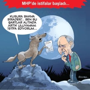 FB_IMG_1752930329753