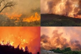 YANGINLARDAN-1024x576