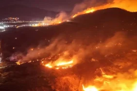 e0efdd50-c39b-4ea5-a07c-779f8713c10d