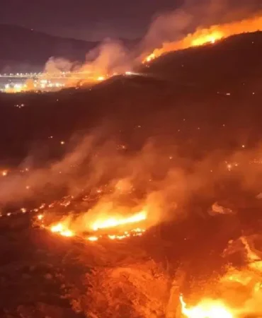 e0efdd50-c39b-4ea5-a07c-779f8713c10d