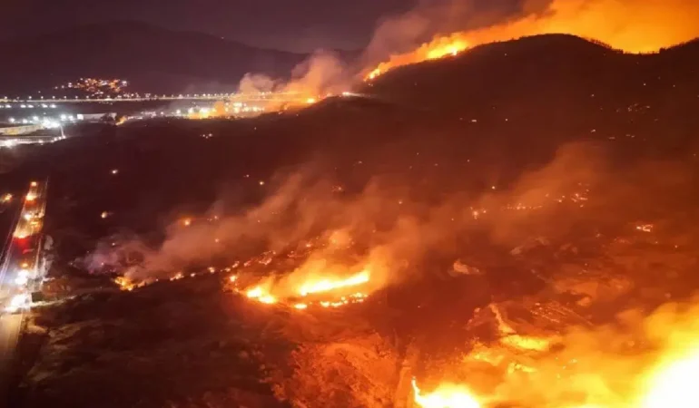 Türkiye’de yaz sıcağında 342 yerde  yangın çıktı! İzmir, Hatay, Manisa’da yangın felaketi sürüyor…