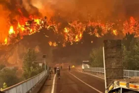 karabuk-te-orman-yangininda-korkutan-manzaral-18877411-amp