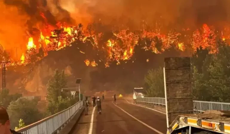 Eskişehir’de çıkan orman yangınında 11 orman işçisi hayatını kaybetti!