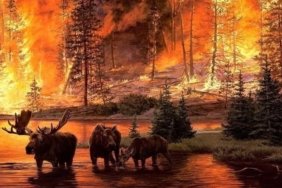 526777429_25138568692399800_5751752561789192937_n