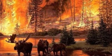 526777429_25138568692399800_5751752561789192937_n