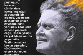 527206031_122147359166765116_3121317915282893425_n