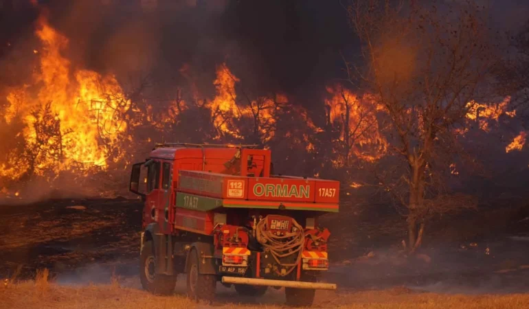 Çanakkale cayır cayır yandı! Edirne, Hatay, Manisa’da orman yangınları…