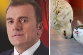 IMG_20251124_153743_083