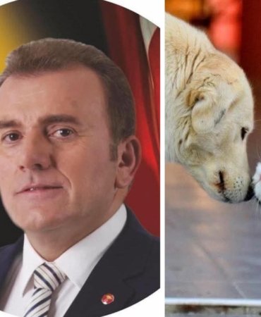 IMG_20251124_153743_083