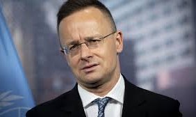 images - 2025-11-15T232816.241