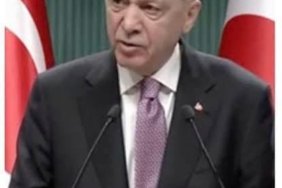 593877021_3029204434135389_6836753026282382244_n