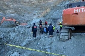 thumbs_b_c_61df0fe7bcadd39c8acf6278ea1e6db7