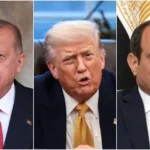 17171745f7f460b-convert.io_