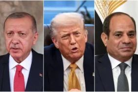 17171745f7f460b-convert.io_