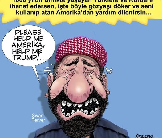 Öznur Kalender çizdi: ABD emperyalizminin peşine takılırsan…