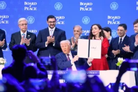 AP26022408336174-1769091318