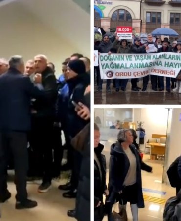 IMG_20260113_195626_697