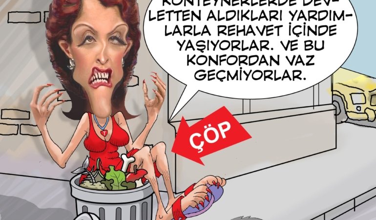 Son 25 yılın “GAZETECİ(!)” profili…