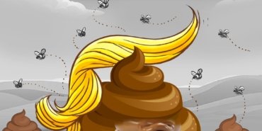 Brown shit on a white background