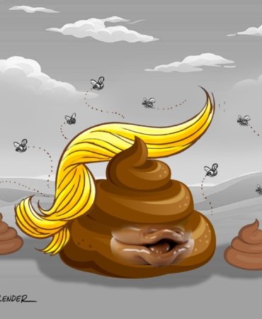 Brown shit on a white background