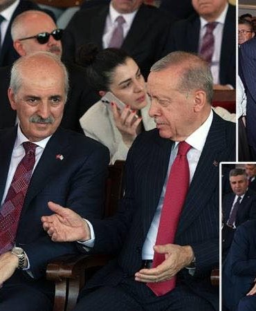 650729782_3128723087516856_8719051356825512243_n