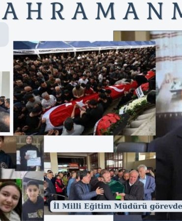 Blue Simple Newsletter Presentation