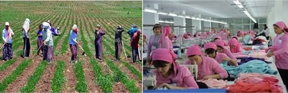 Kadınlara ilişkin haberler, ne yazık ki, maruz kaldıkları baskılar, saldırılar,