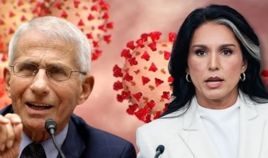 ABD Ulusal İstihbarat Direktörü Tulsi Gabbard, Perşembe günü yayınladığı bir