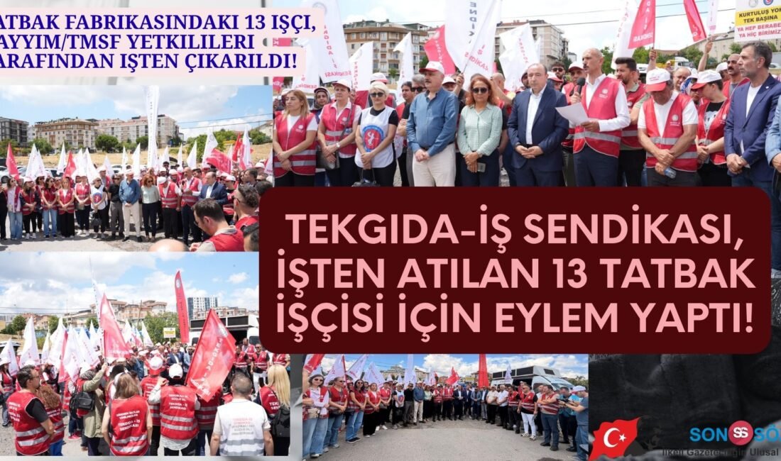 Tekgıda-İş Sendikası, kayyum/TMSF yetkilileri tarafından işten atılan işçilerin sesini duyurmak