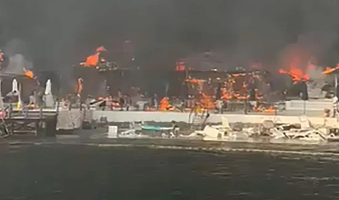 Büyükada’daki Viranbağ Plajı’nda akşam saatlerinde çıkan yangın paniğe neden oldu.