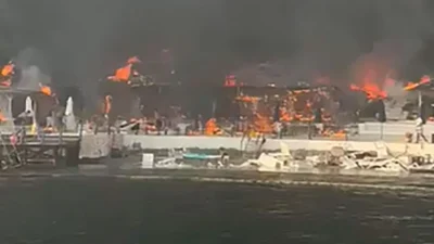 Büyükada’daki Viranbağ Plajı’nda akşam saatlerinde çıkan yangın paniğe neden oldu.