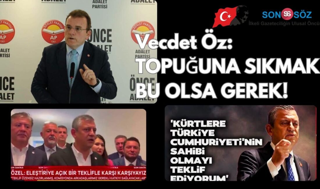 Bu sözü; ettiği Milletvekili yeminini unutarak ve dolayısıyla Türk milleti
