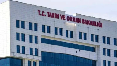 EFSA’nın genotoksisite riskini tamamen dışlayamaması üzerine 10 tütsü aroma vericisi