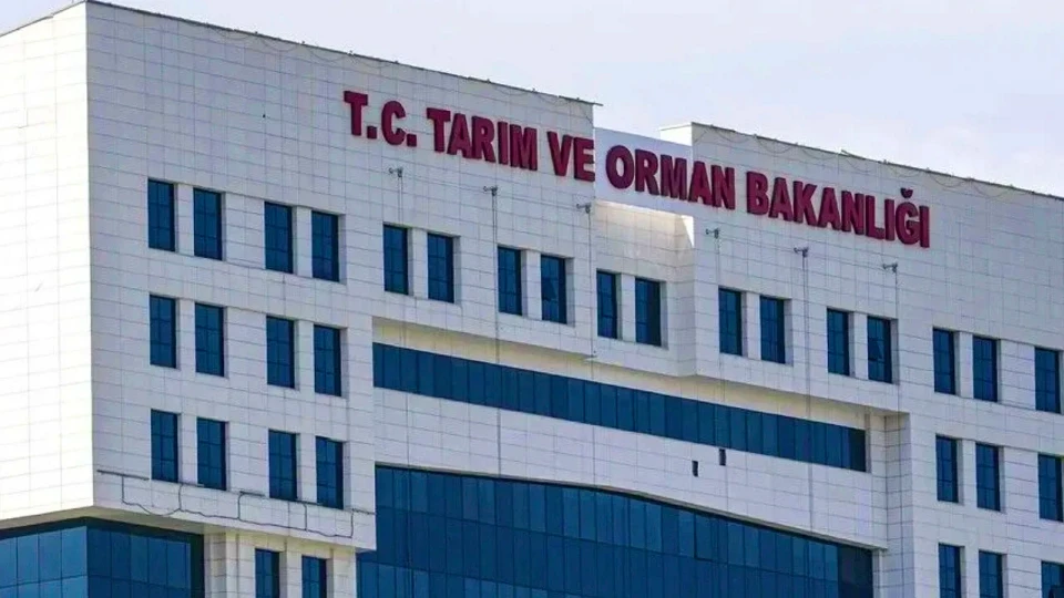 EFSA’nın genotoksisite riskini tamamen dışlayamaması üzerine 10 tütsü aroma vericisi
