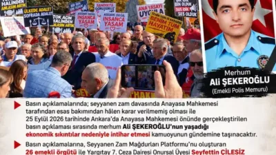 Ali Şekeroğlu anısına...